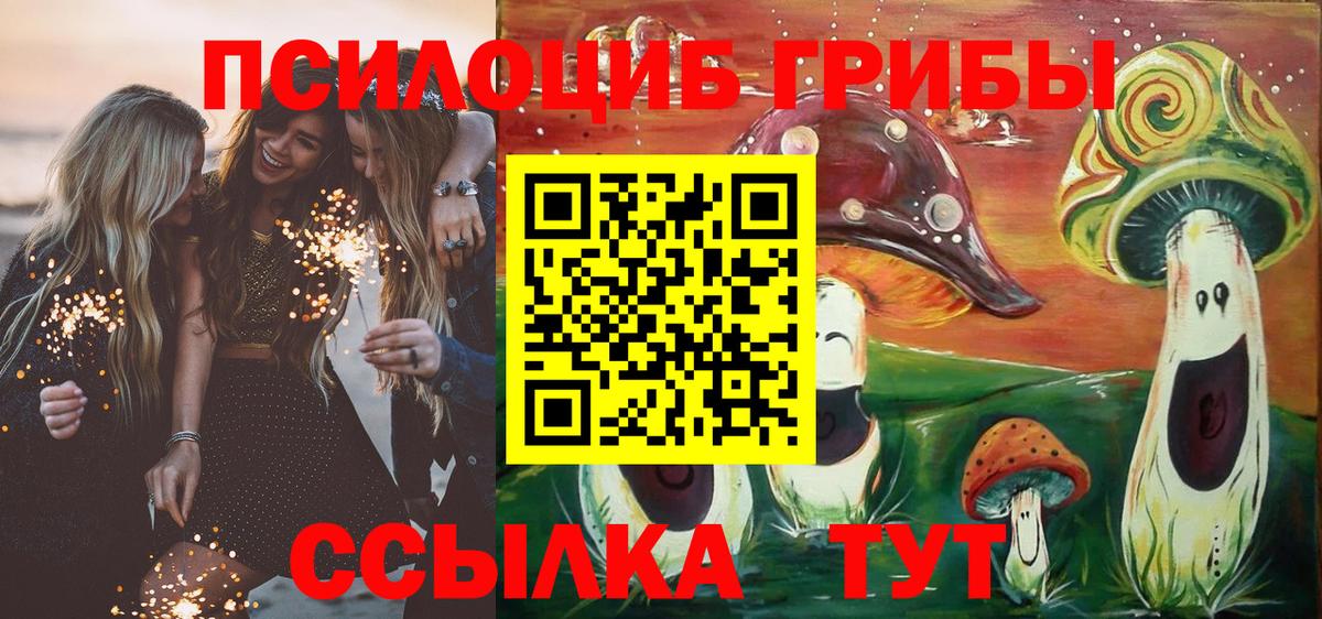 Галлюциногенные грибы прущие грибы  Вход с VPN  Златоуст 